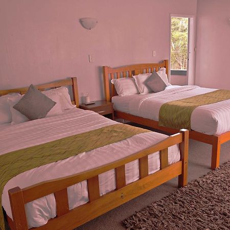 Newlands Court Motel ウェリントン エクステリア 写真